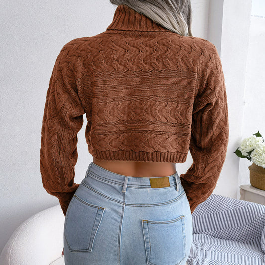 Cora Turtleneck Sweater